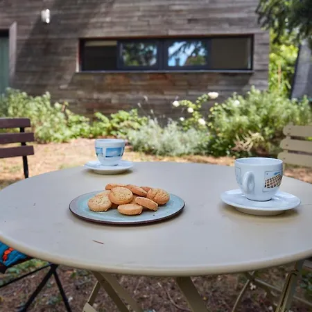Maison Individuelle Sur Jardin Proche Gare Et Disneyland * Thorigny-sur-Marne